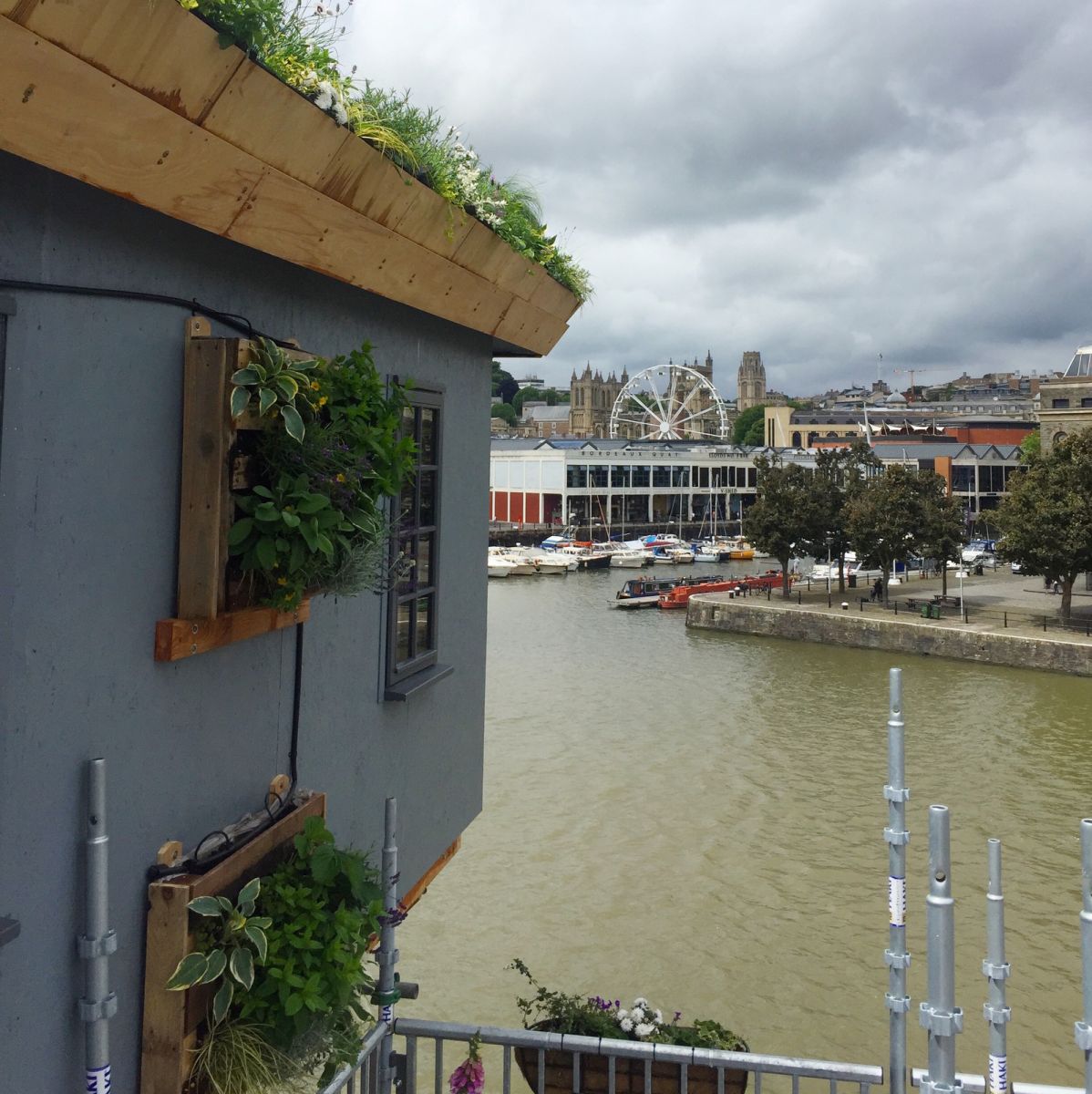 A first look inside the tree house at Crane 29